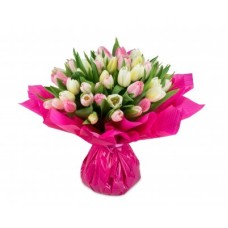 Laure - pink - white tulip (Small 21 psc)